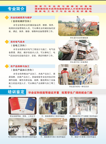 加拿大28在线,加拿大28在线（中国）2016年招生简章5